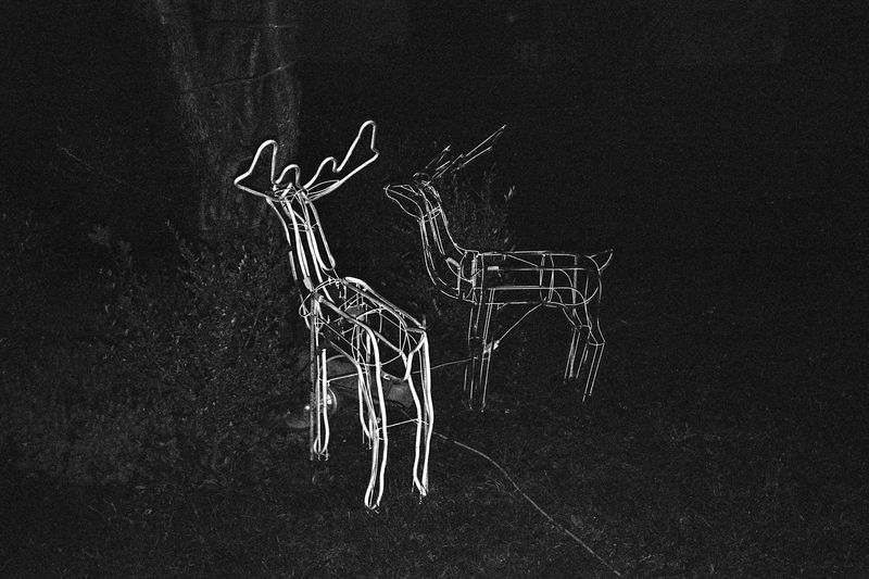 © Matteo Giardiello - Image from the Nevermind if I'm Blind photography project