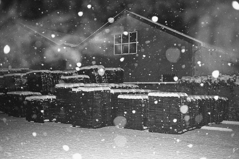 © Matteo Giardiello - Image from the Nevermind if I'm Blind photography project