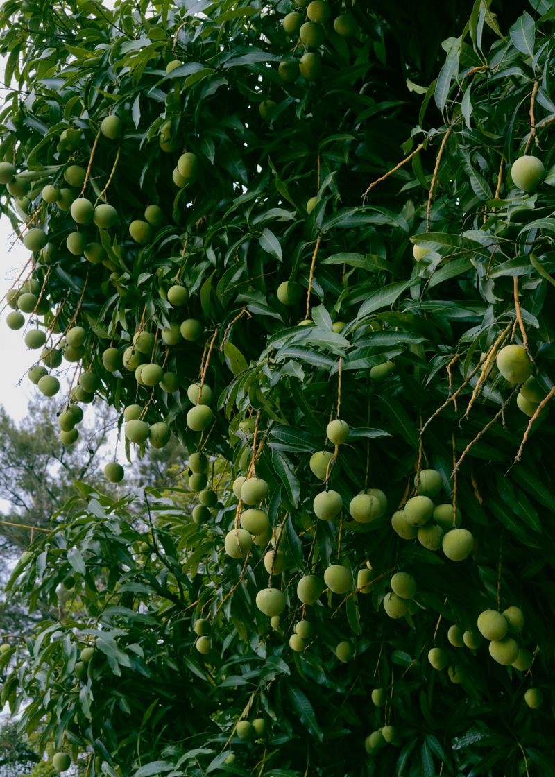 © Ana Maria Sales Prado - Image from the It is the aura of my fingers that sees the egg photography project