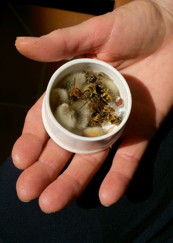 © Ana Maria Sales Prado - Image from the It is the aura of my fingers that sees the egg photography project