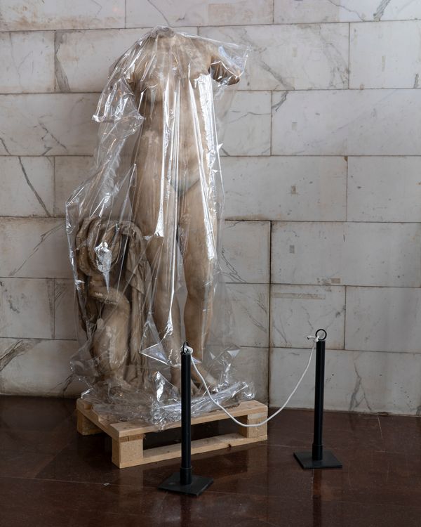 © Silvia Bertoldo - Image from the Selvatica photography project