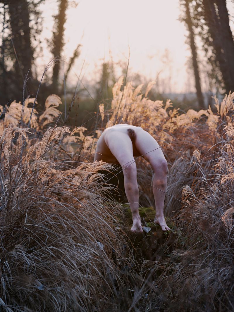 © Silvia Bertoldo - Image from the Selvatica photography project