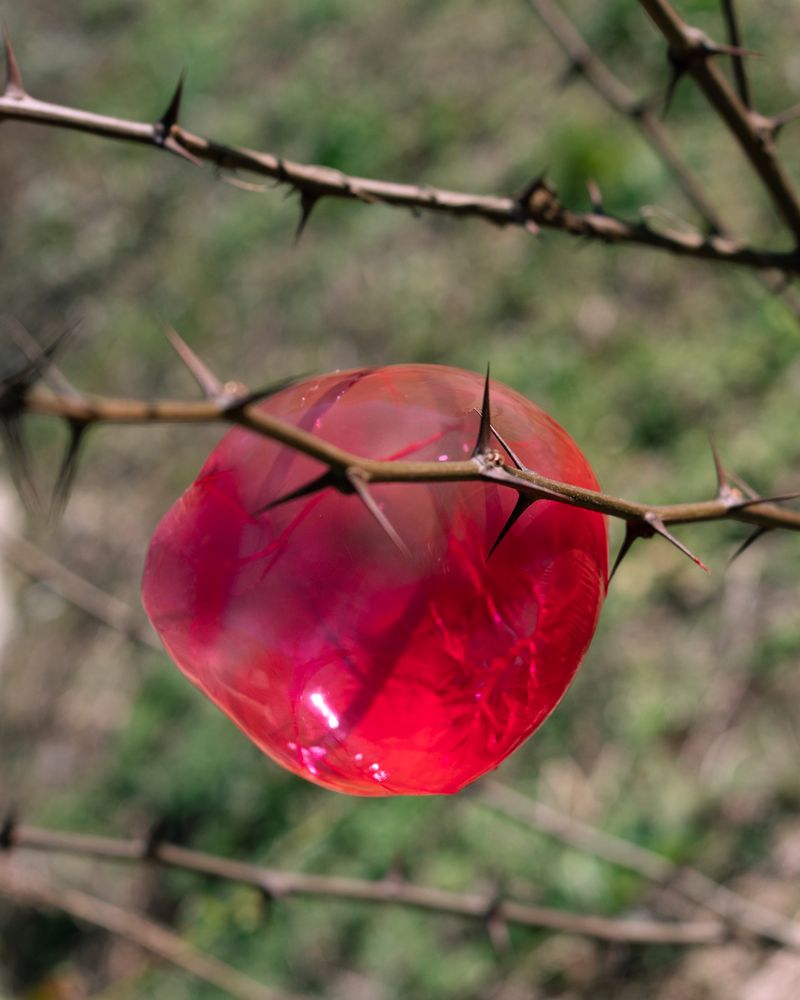 © Silvia Bertoldo - Image from the Selvatica photography project