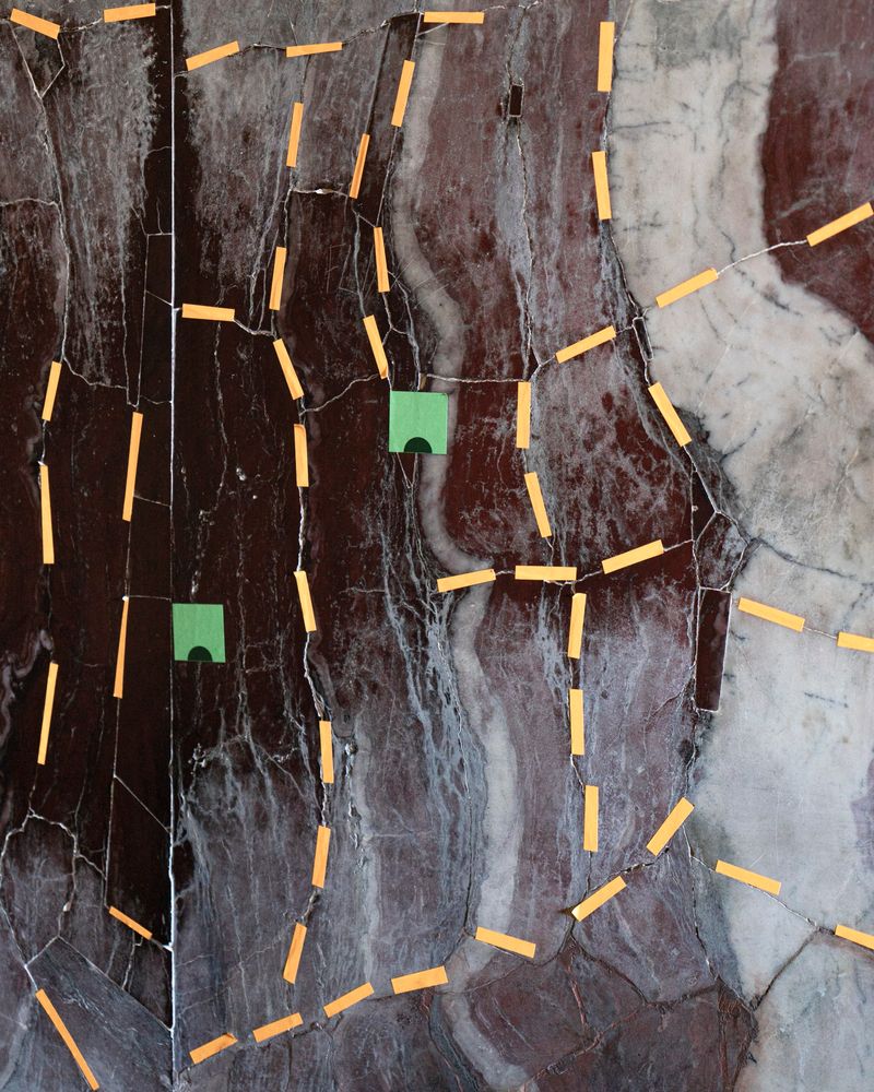 © Silvia Bertoldo - Image from the Selvatica photography project