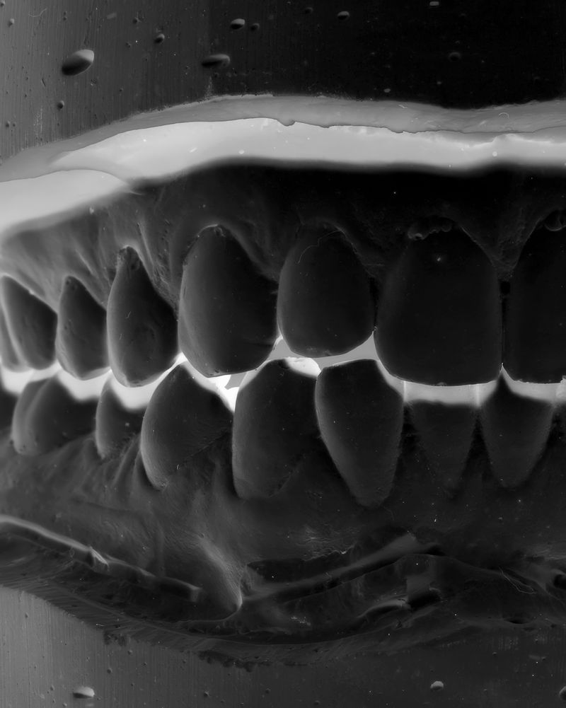 © Silvia Bertoldo - Image from the PYRITE photography project