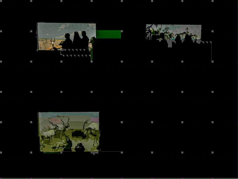 © Yiwei Lu - Image from the Night At the Museum photography project