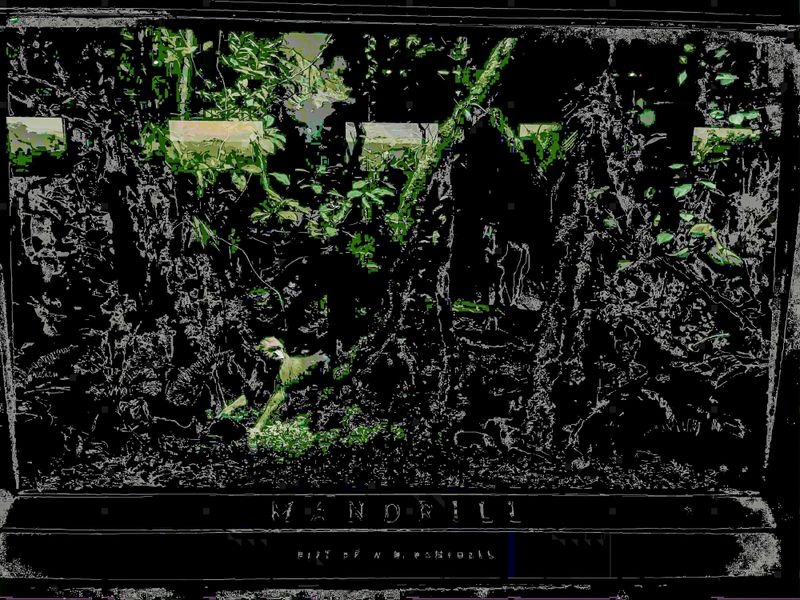 © Yiwei Lu - Image from the Night At the Museum photography project