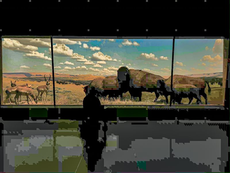 © Yiwei Lu - Image from the Night At the Museum photography project