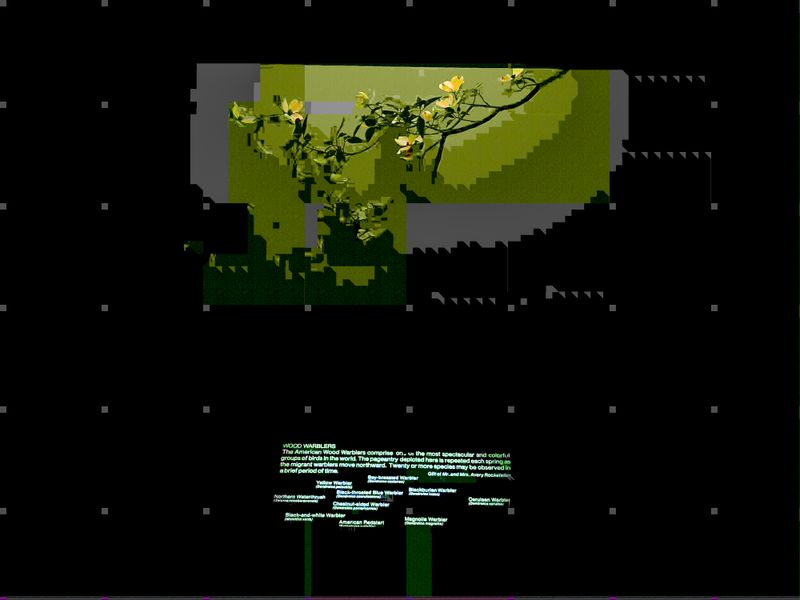 © Yiwei Lu - Image from the Night At the Museum photography project