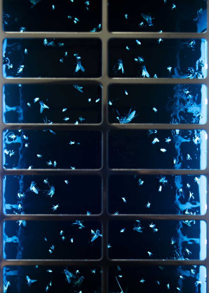 © Elisa Marchesini - Image from the Back to the real life photography project