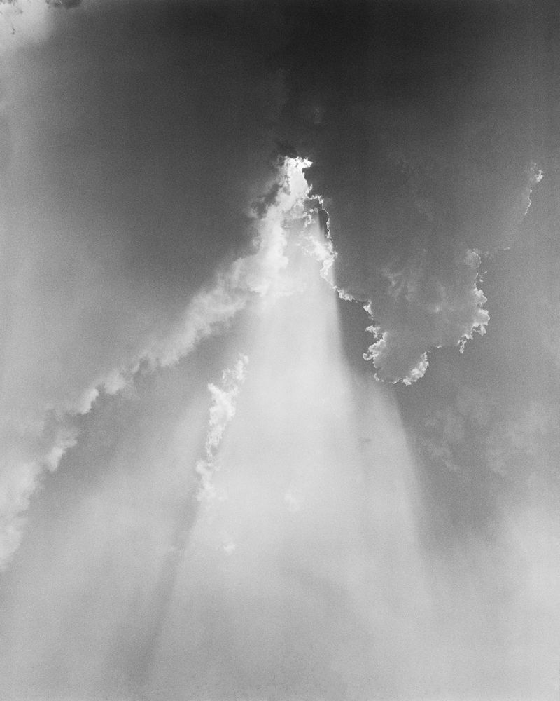 © Jonah Reenders - Image from the Armillaria photography project