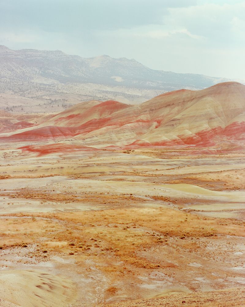 © Jonah Reenders - Image from the Armillaria photography project