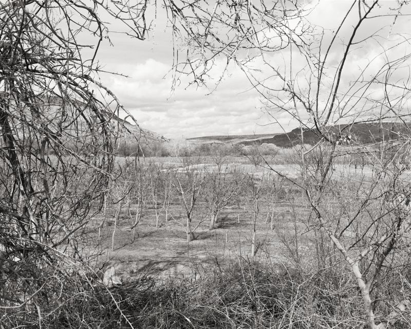 © alexander laurent rubalcava - Image from the The Veil photography project