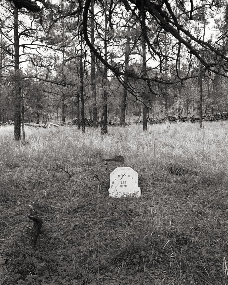 © alexander laurent rubalcava - Image from the The Veil photography project