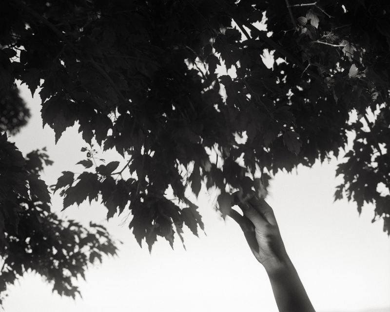 © alexander laurent rubalcava - Image from the The Veil photography project