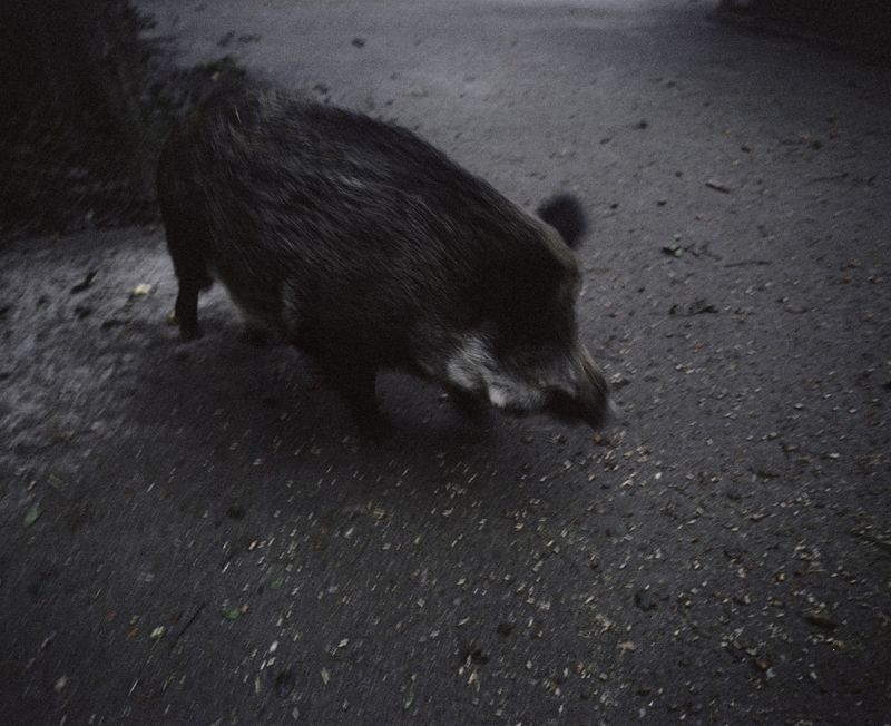 © Ciro Nigro - Image from the Recidere photography project