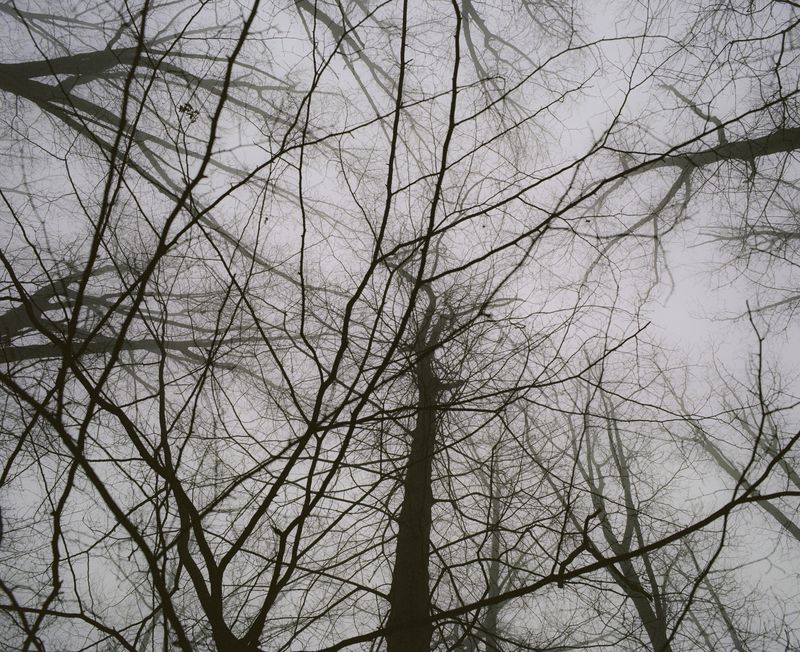 © Ciro Nigro - Image from the Recidere photography project