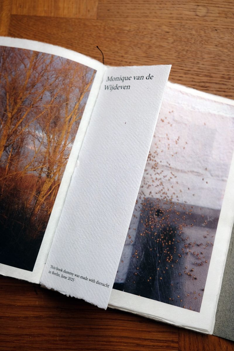© Monique van de Wijdeven - Image from the In search of presence photography project