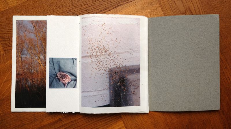© Monique van de Wijdeven - Image from the In search of presence photography project