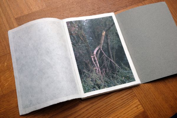© Monique van de Wijdeven - Image from the In search of presence photography project
