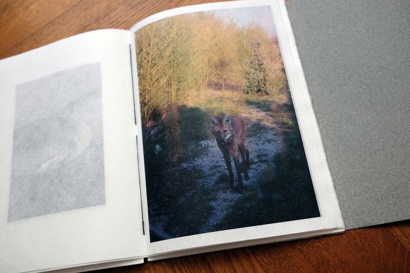 © Monique van de Wijdeven - Image from the In search of presence photography project
