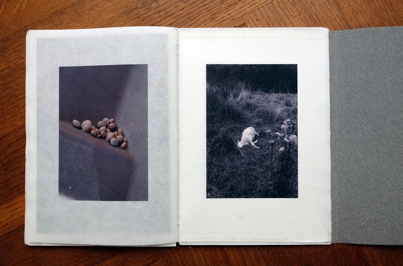 © Monique van de Wijdeven - Image from the In search of presence photography project