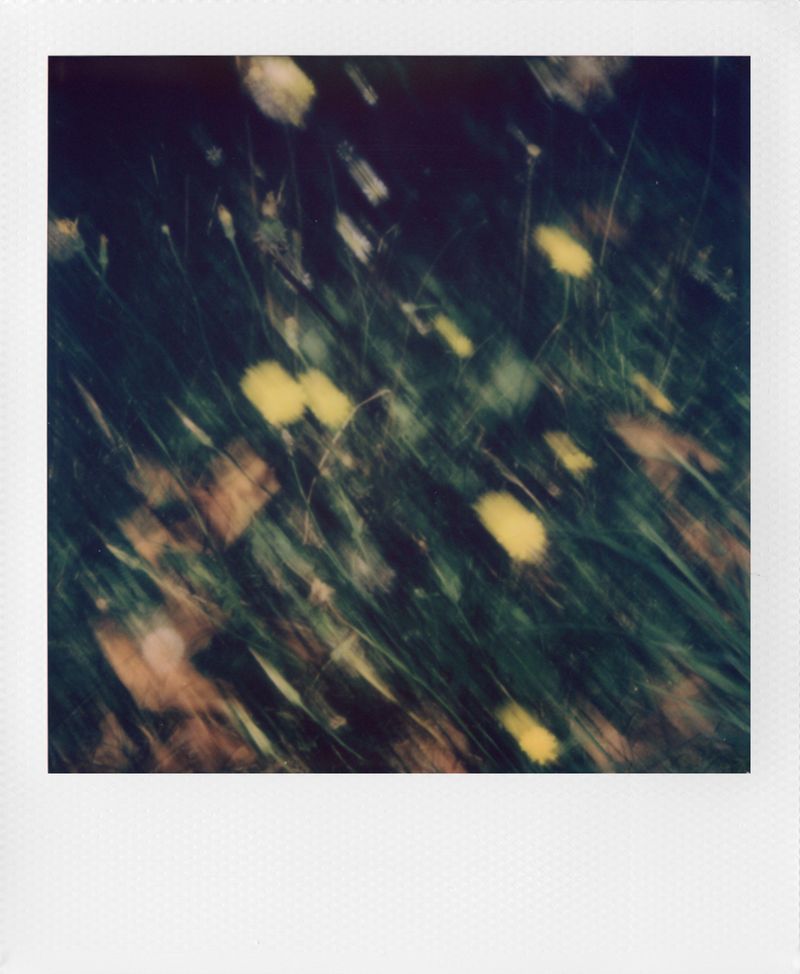© Stephanie Lee - Image from the Your Favourite Disappointment | 真的是白疼你了 photography project