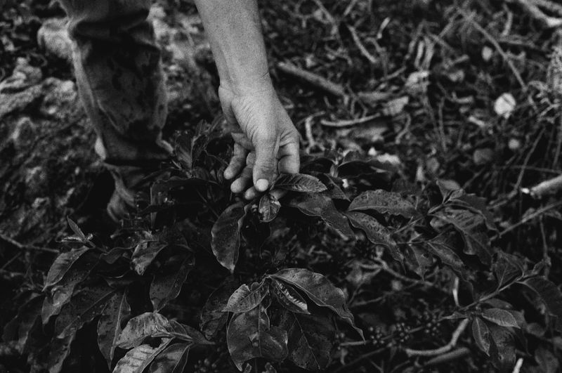 © Filippo Di Franco - Image from the A Cor do Sol photography project