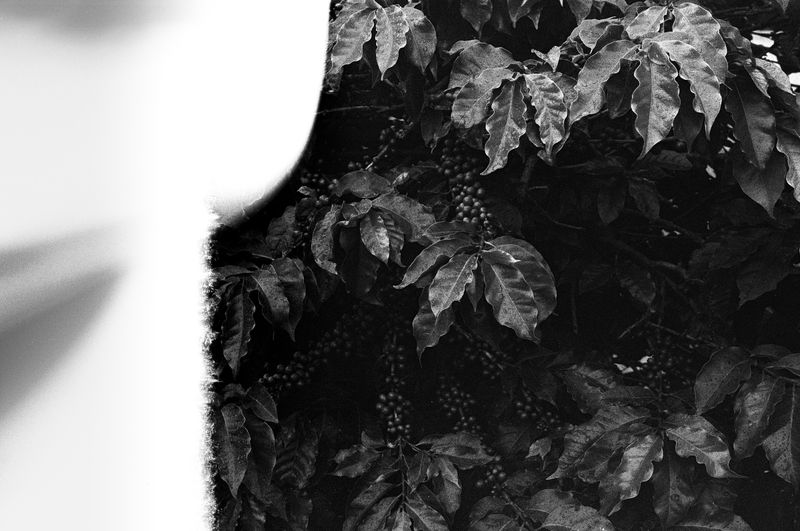 © Filippo Di Franco - Image from the A Cor do Sol photography project