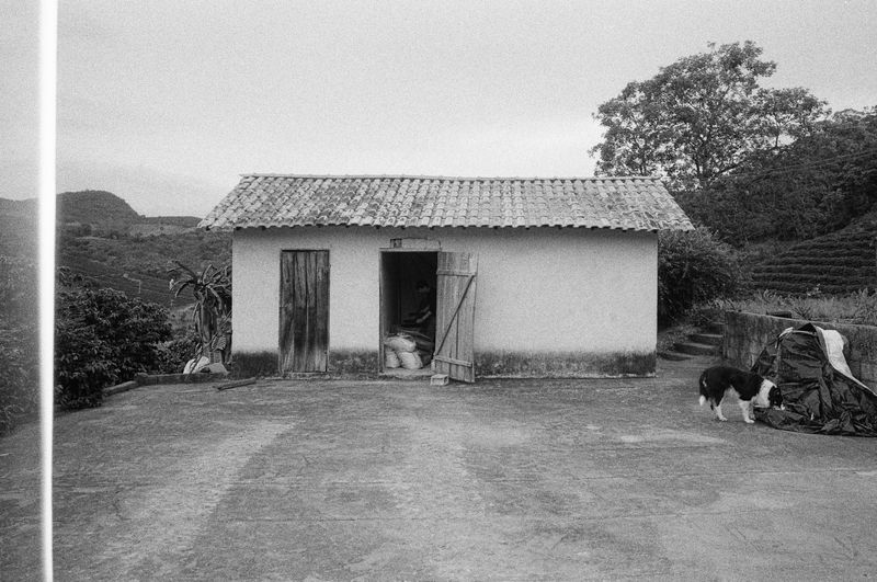 © Filippo Di Franco - Image from the A Cor do Sol photography project