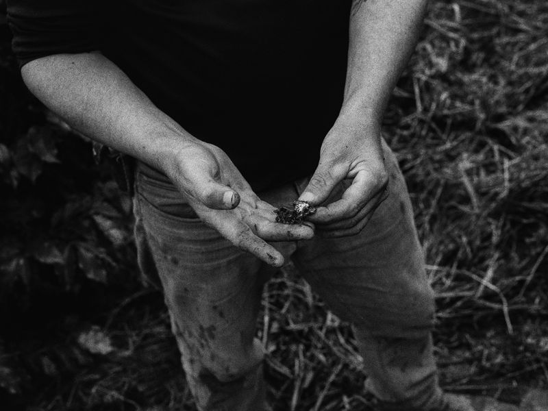 © Filippo Di Franco - Image from the A Cor do Sol photography project