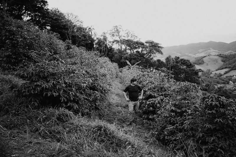 © Filippo Di Franco - Image from the A Cor do Sol photography project