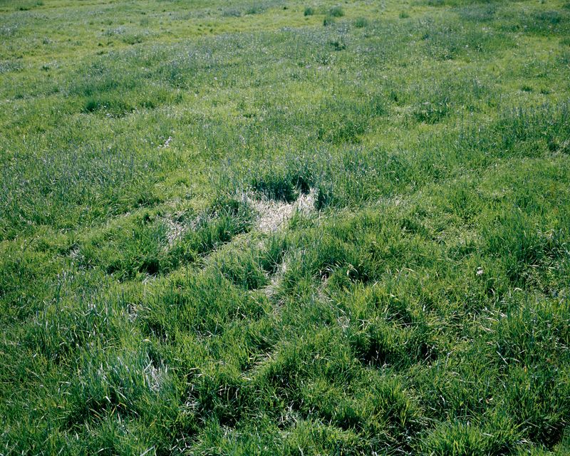 © Mafalda Rakoš - Ramon‘s imprint on a park close to his home near Lopik, the Netherlands. 2019.