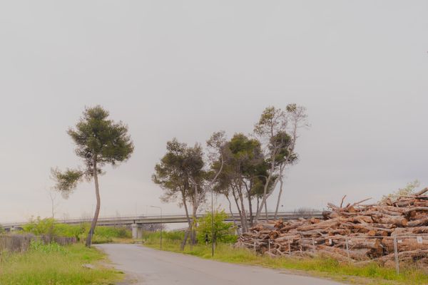 © Federica Lucia Carducci - Image from the EX-RODO photography project