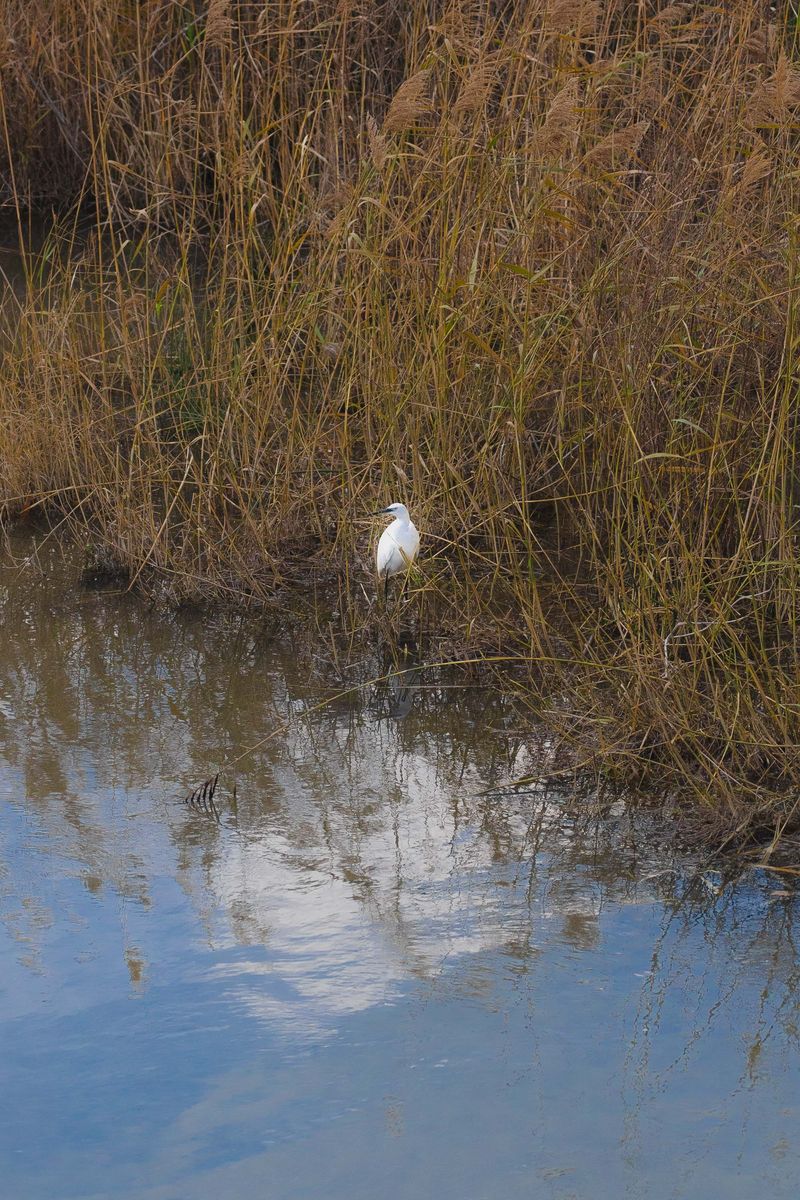 © Federica Lucia Carducci - Image from the EX-RODO photography project