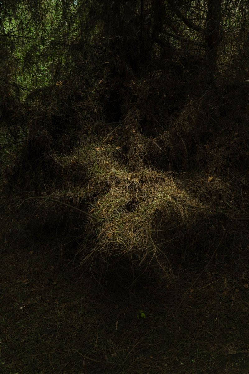© Federica Lucia Carducci - Image from the EX-RODO photography project