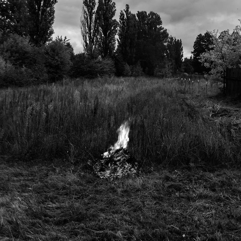 © Federica Lucia Carducci - Image from the Yet Still, Rebirth. In The Ordinary Ache Of Waking. photography project