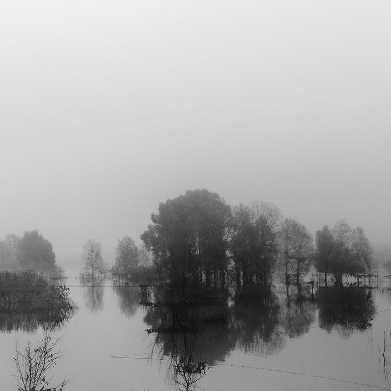 © Federica Lucia Carducci - Image from the Yet Still, Rebirth. In The Ordinary Ache Of Waking. photography project