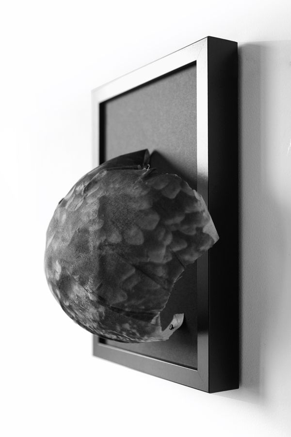 © naroa perez - Image from the Trail of Touch photography project