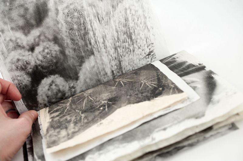 © naroa perez - Image from the Trail of Touch photography project