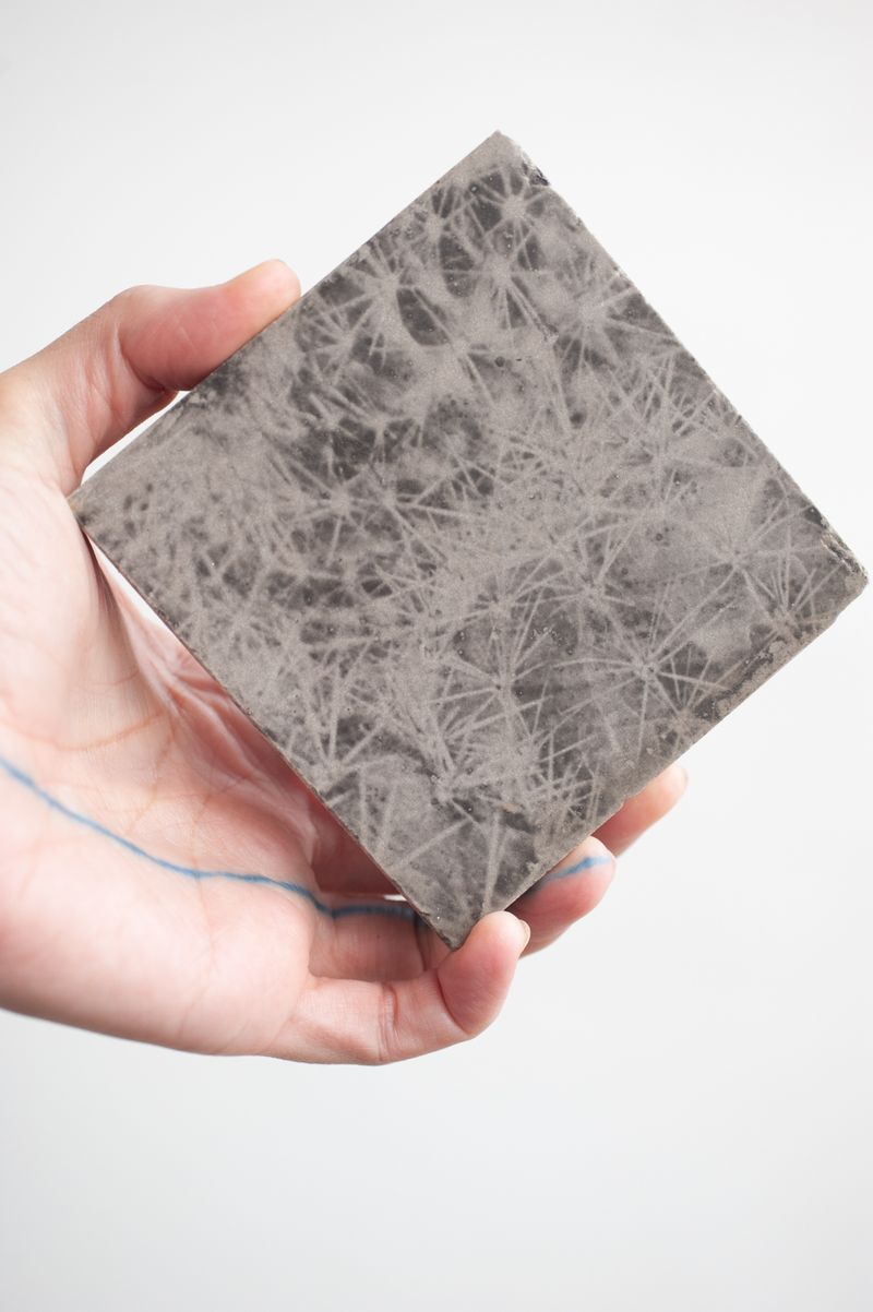 © naroa perez - Image from the Trail of Touch photography project