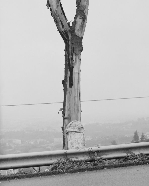 © Iacopo Pasqui - Image from the N photography project