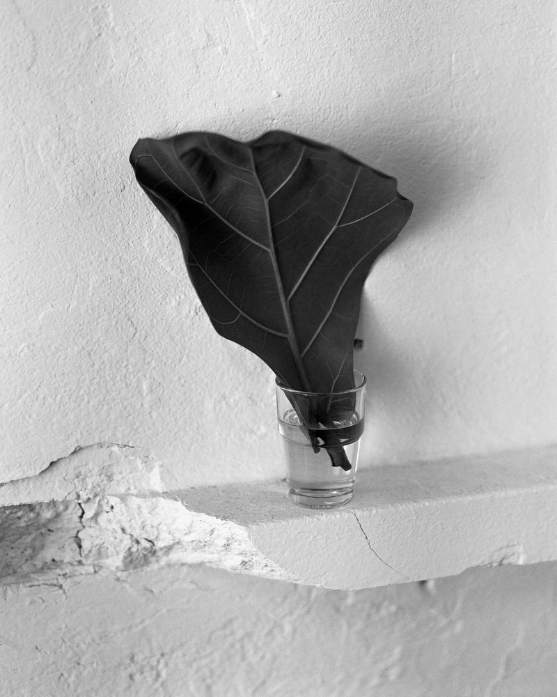 © Iacopo Pasqui - Image from the N photography project