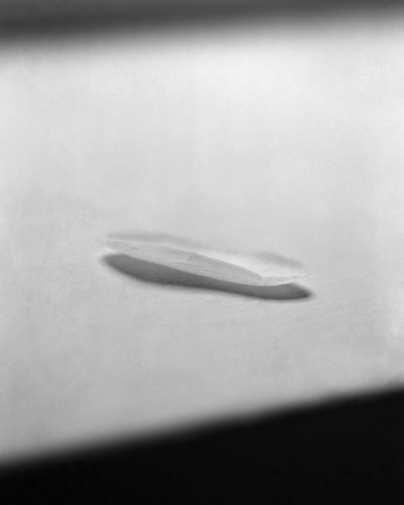 © Iacopo Pasqui - Image from the N photography project