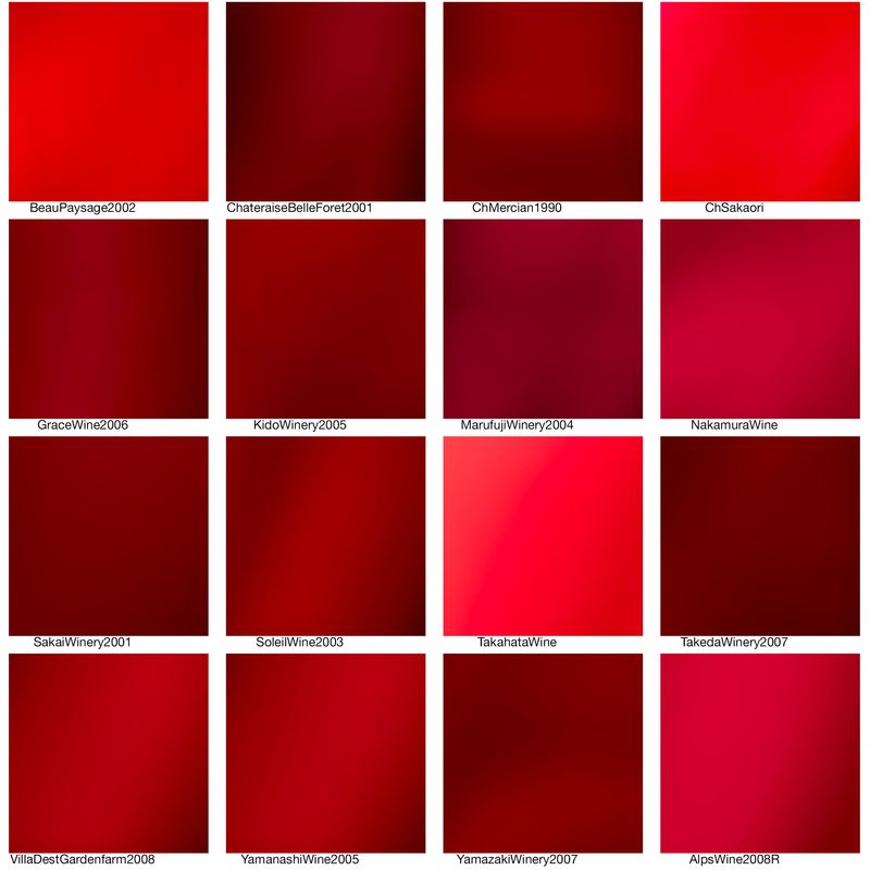 © Ohwada Ryo - Collector said "I am collecting Japanese wine. I know that there are many excellent wines in Japanese wine".