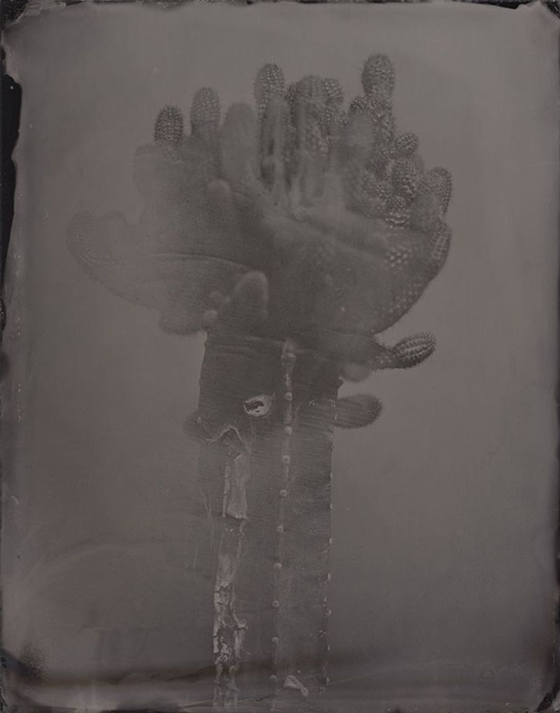 © Ohwada Ryo - Image from the qusamura-Honzo photography project