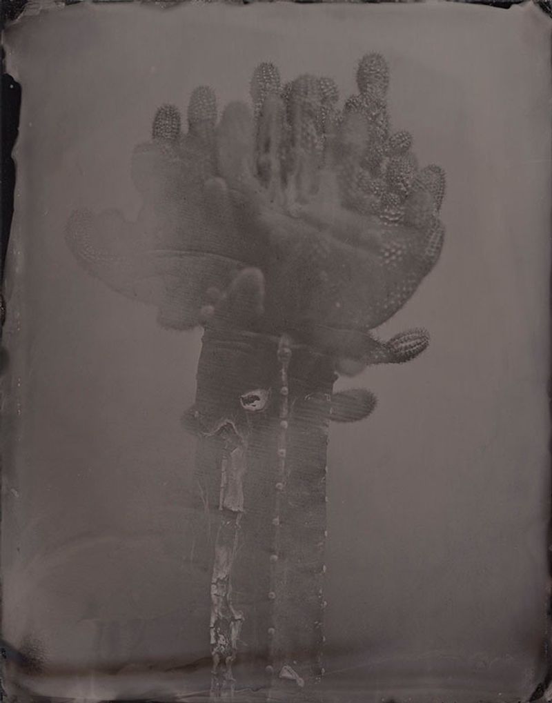 © Ohwada Ryo - Image from the qusamura-Honzo photography project