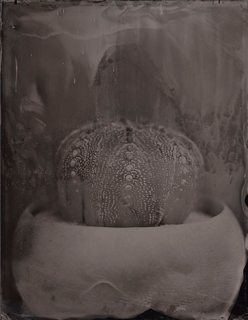 © Ohwada Ryo - Image from the qusamura-Honzo photography project