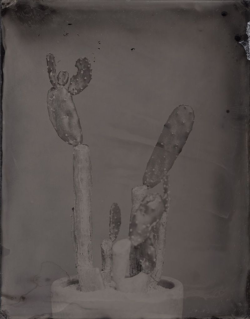 © Ohwada Ryo - Image from the qusamura-Honzo photography project
