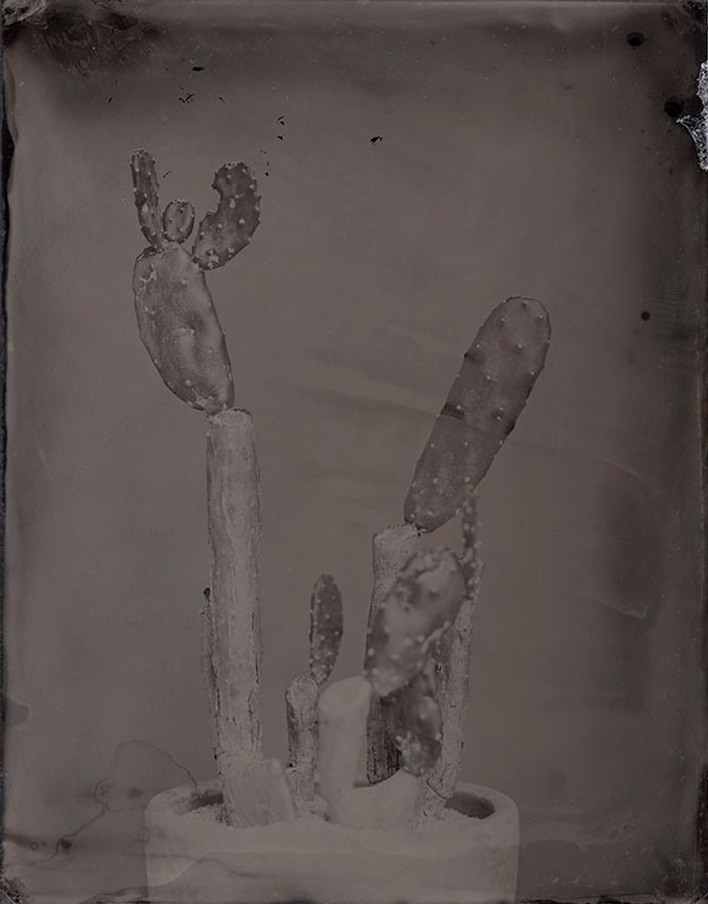 © Ohwada Ryo - Image from the qusamura-Honzo photography project